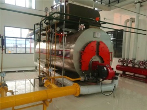 WNS低氮冷凝熱水鍋爐